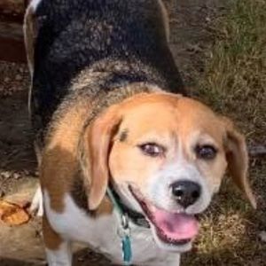 Meet your Posher, Bernice